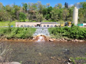 Fish spotted in lower Deckers Creek following startup of Richard Mine AMD treatment plant